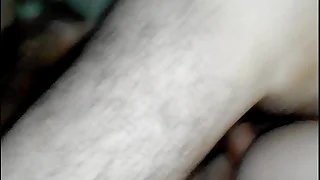 gay fuck